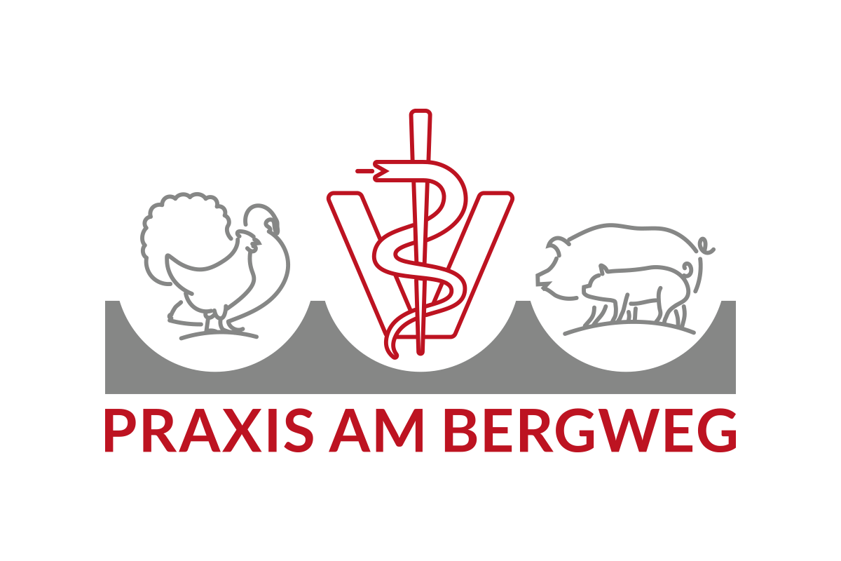 Praxis Am Bergweg GmbH